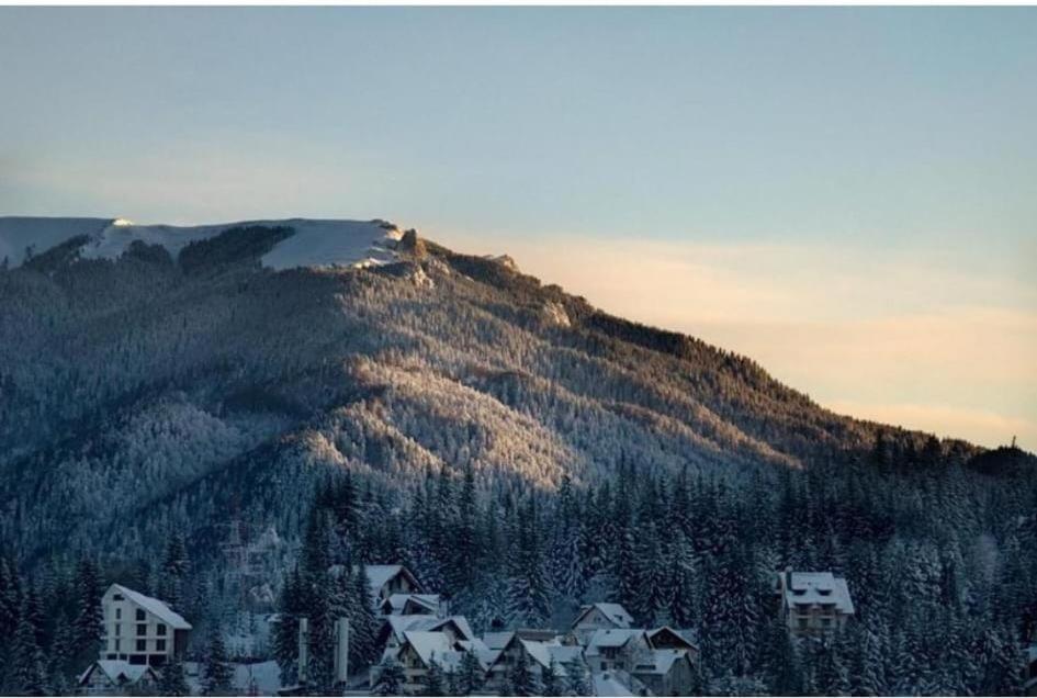 Mont Blanc Hotell Predeal Eksteriør bilde